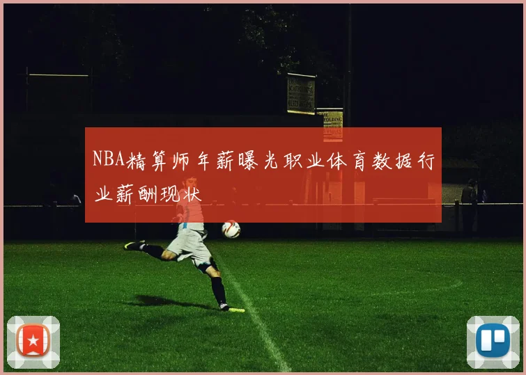 NBA精算师年薪曝光职业体育数据行业薪酬现状