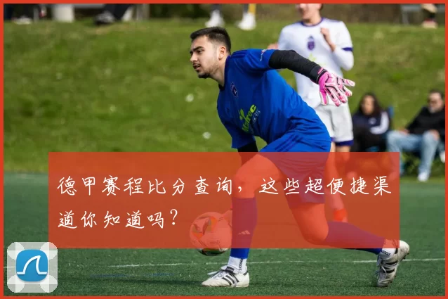 德甲赛程比分查询,这些超便捷渠道你知道吗?