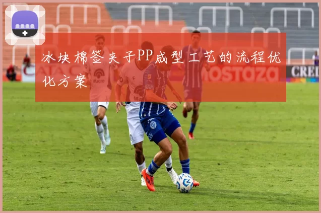 冰块棉签夹子PP成型工艺的流程优化方案